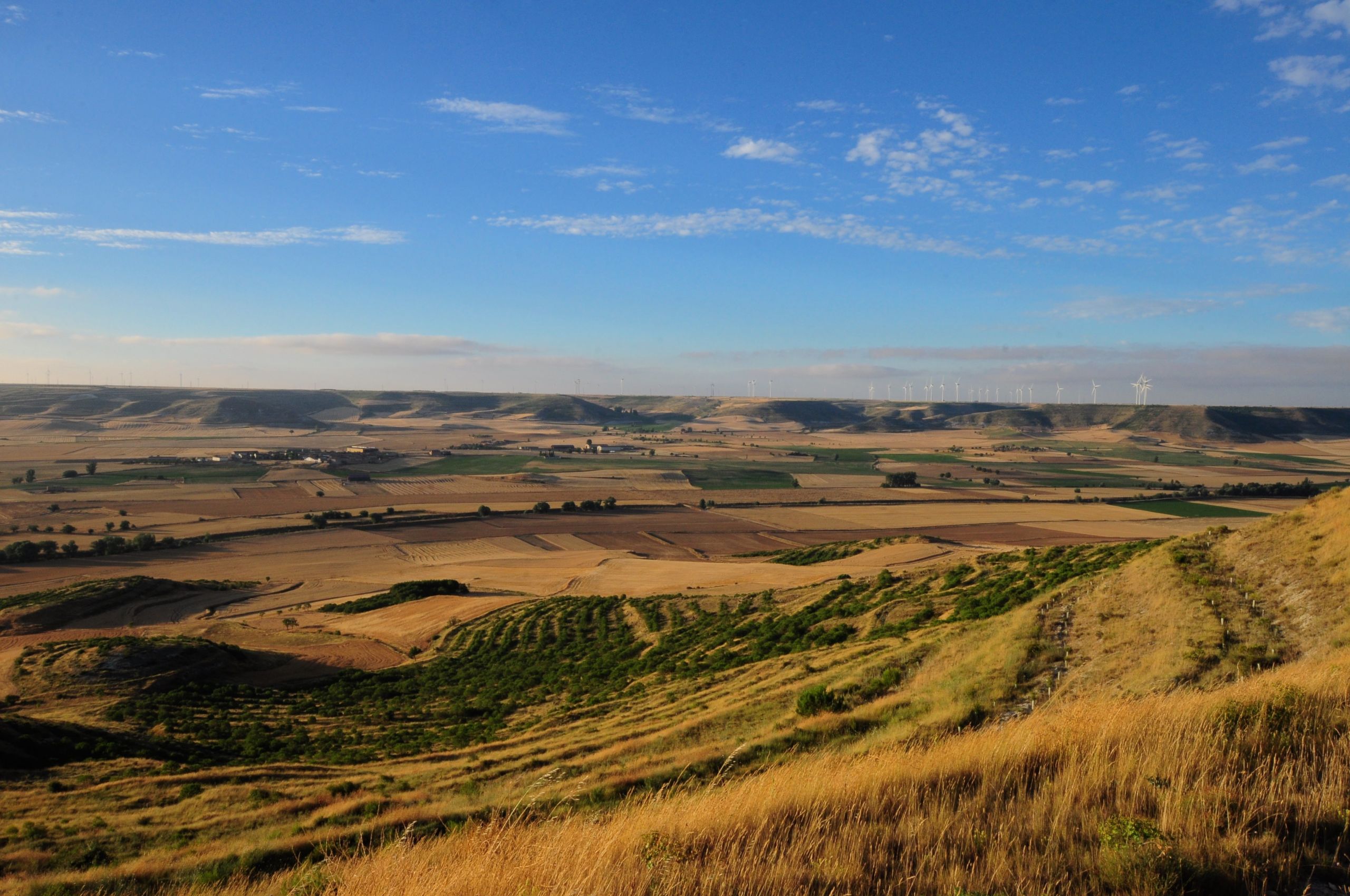 Veduta panoramica di un paesaggio collinare e campi dorati lungo il percorso verso Santiago.